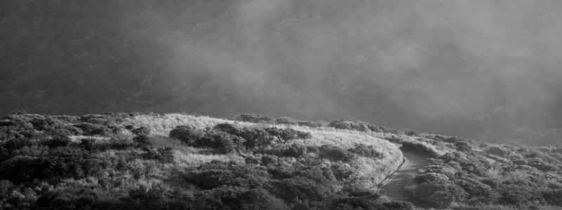 Banner2-modelo