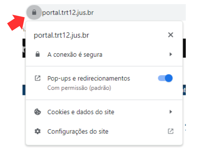 Print da tela mostrando o cadeado, ícone de segurança do Google