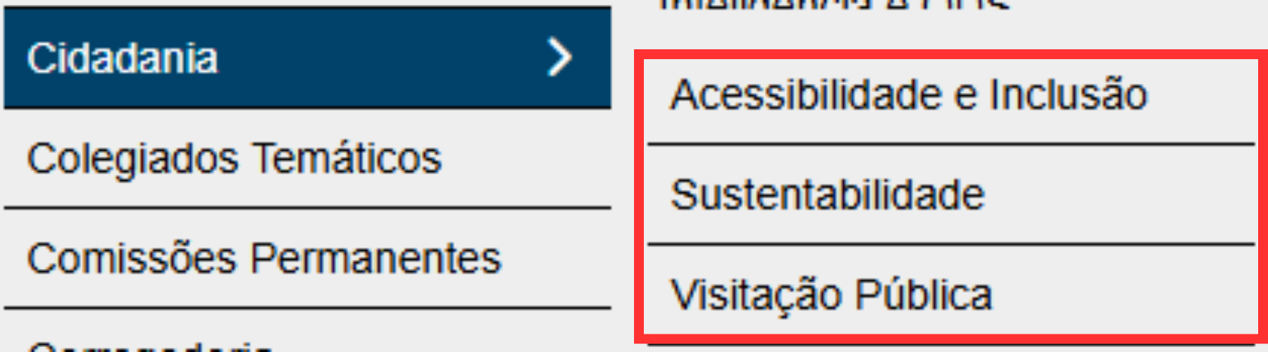 Print de tela do menu Cidadania