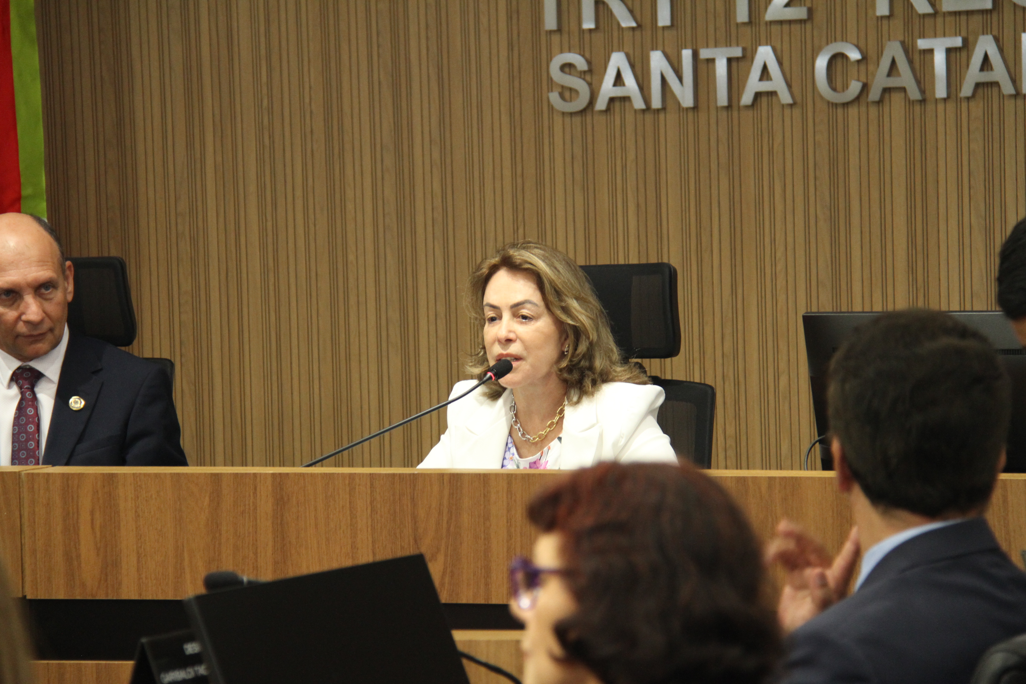 Fotografia mostra a ministra Dora MAria da Costa, uma mulher branca, de cabelos médios e loiros, falando ao microfone em uma mesa no plenário do TRT-SC