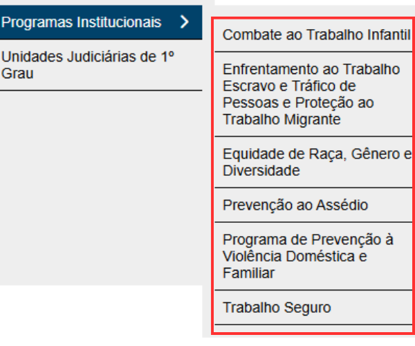 Print de tela do menu Programas Institucionais