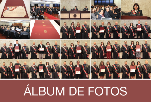 Fotos diversas com os premiados