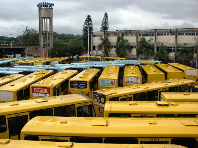 frota de ônibus