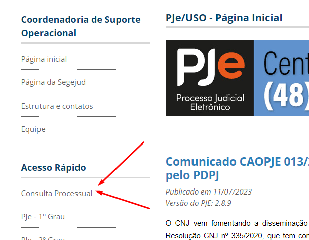 Imagem mostra localização do acesso à consulta processual no menu lateral esquerdo no portal do TRT-12