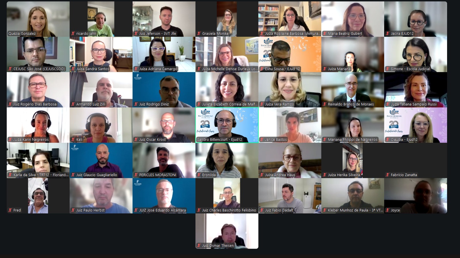 Print de tela com várias pessoas participando de uma reunião online