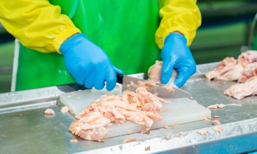 homem de luvas azuis corta frango em pedaços