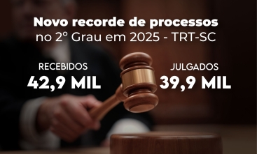 Arte com informações retiradas do texto