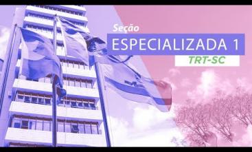 Sessão da Especializada 1 - 27 de abril de 2020