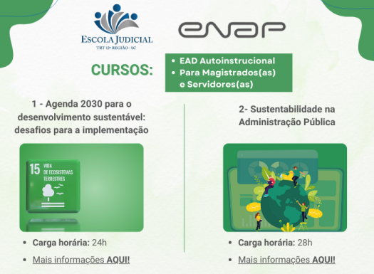 Curso ENAP - Agenda 2030 e sustentabilidade na Administração Pública