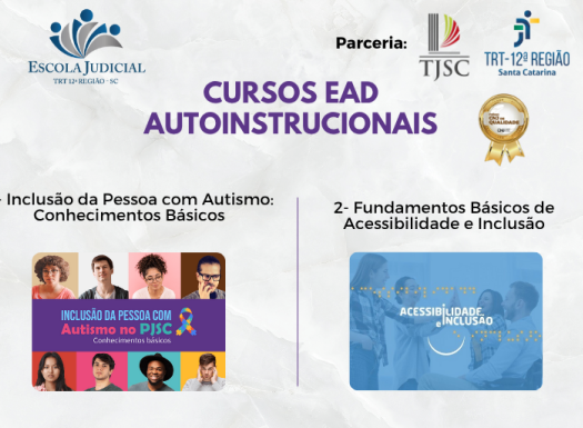nclusão da Pessoa com Autismo no Poder Judiciário de Santa Catarina Conhecimentos Básicos e Fundamentos básicos de acessibilidade e inclusão