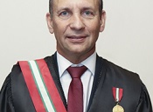 Des. Amarildo Carlos de Lima