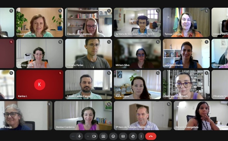 Captura de tela de uma reunião on-line mostrando 15 participantes