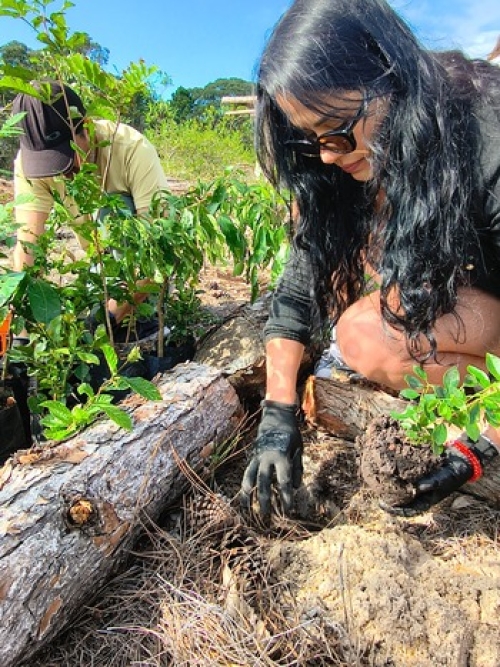 Mulher planta muda nativa em área de restauração ambiental
