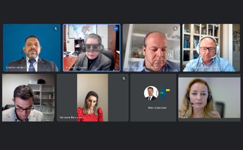 Captura de tela da reunião por videoconferência