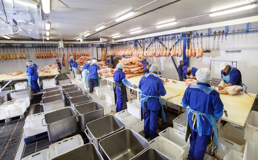 Fotografia ilustrativa de trabalhadores em linha de produção dentro de frigorífico