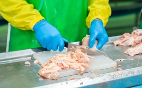 homem de luvas azuis corta frango em pedaços