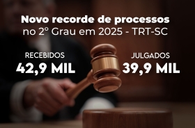 Arte com informações retiradas do texto