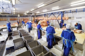 Fotografia ilustrativa de trabalhadores em linha de produção dentro de frigorífico
